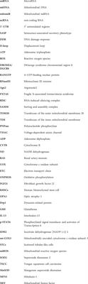 Mitochondrial-related microRNAs and their roles in cellular senescence